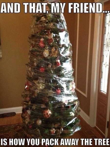 pack away christmas tree.jpg